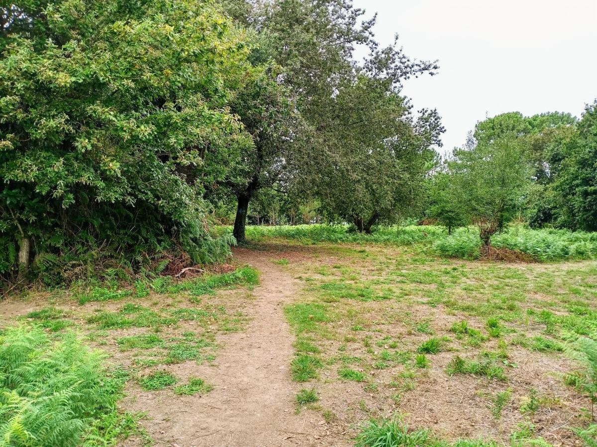 דירות Rianjo Atico Con Vistas A La Ria De Arosa מראה חיצוני תמונה